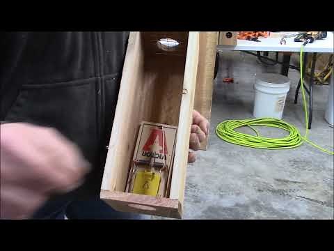 How to Build a Weasel Box and Catch Weasels