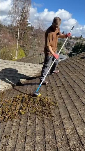 How to properly brush and clean a roof