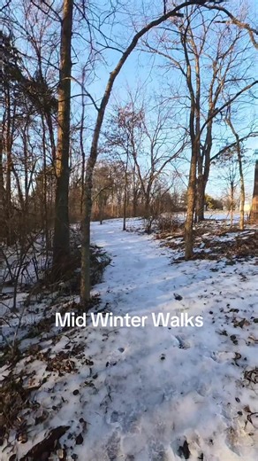 Maybe the last of the winter walks for this year in Kentucky. I will miss them however I look forward to spring. Time will tell.