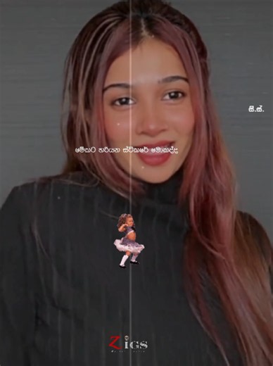Shaviii creator highlights: top creator search insights