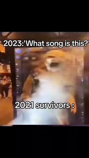 Simple dimple 💀 #simpledimple #simple #dimple #popit #popits #goofy #cringeaf #cringeasf #cringey #cringe #2020 #2021 #croppedmemes #memes #croppedvideos #fyyyyyyyyyyyyyyyyyyy #fyyyyy