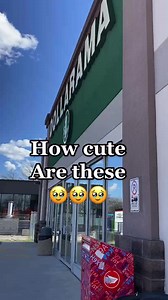 How cute are these🥹🍩 | Coupon Cutie