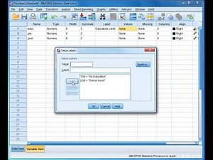[SPSS] Assigning values and labels to variables