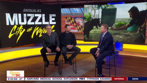 Aaron Eckhart talks new movie 'Muzzle: City of Wolves'