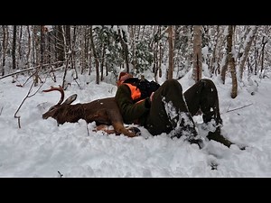 TRACKER | Hunting in the Big Woods | 2024