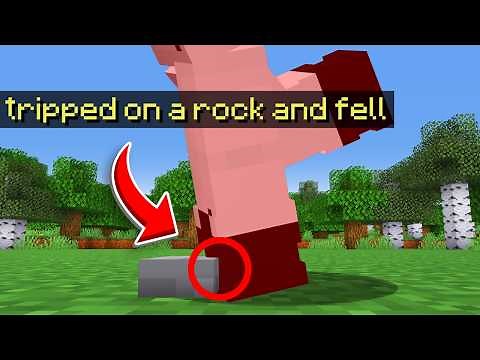 I Hired a Professional Mod Developer to Ruin Minecraft