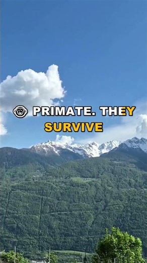 The Capuchin Living At 7,709 Feet