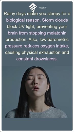 Why Rain Makes You Sleepy | The Science of Rainy Days
