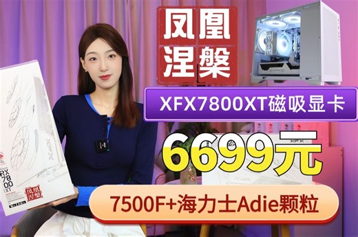 听不到声音的显卡6699元超豪华纯白色7500F XFX旗舰磁吸超静音7800XT凤凰涅槃 32G海力士Adei 玄武850SE