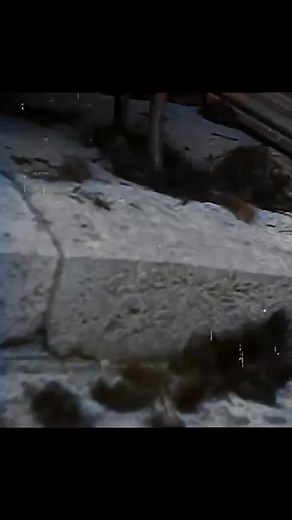 Shaved Heads of Nazi Collaborators | 1944 Retribution | History Unearthed