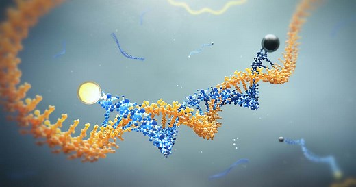 Black Hole Quenchers® | BHQ® 1/2/3 Patent free | For All Applications