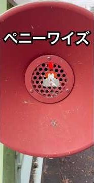 なんか歩いてたら、ペニーワイズの曲聞こえてきて、普通にビビった😨