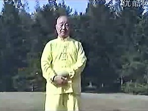 大雁气功全套功法教材视频-全面.mp4