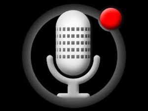 Record audio in Windows Form C#