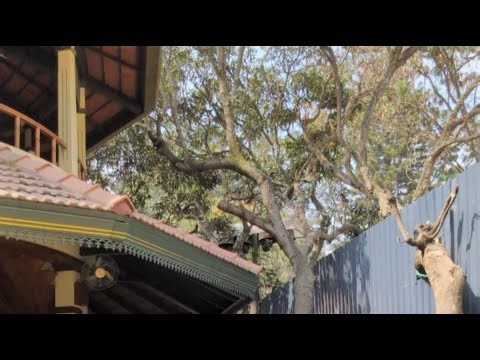 Live singing #bangalore || Shivangi Singh