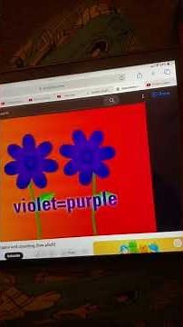 Rock N Learn Colors Shapes & Counting So Many Colors