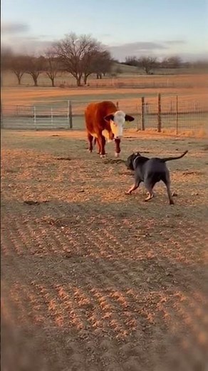 They Never Forgot Each Other… Even After Over a Year 🧡