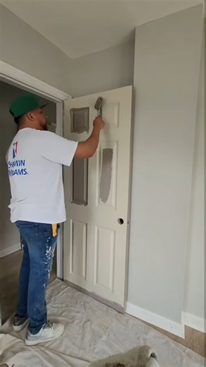 #propainters #delaware | alexpaintingllc