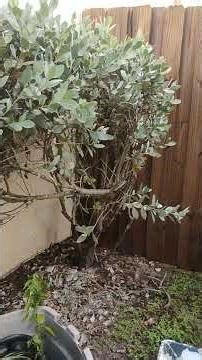 Prep your surface before applying color coating 786259828