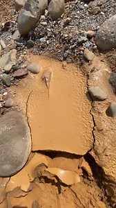 8.4M views · 41K reactions | Woww., Finding pure gold dust in scary rivers by mud cream. #golddiscovery #goldrush | Ades Gold Hunter | Facebook