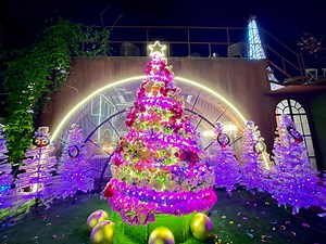 La Vie Parisienne spreads hope in its first-ever Christmas tree-lighting ceremony