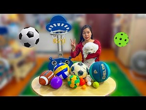 Finding and Naming Sport Balls Compilation 🎾⚽ Learn Sport Ball Names for Kids!