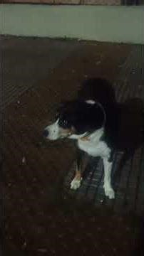 Llueve en Buenos Aires, 07/04/26, 23:11 horas...