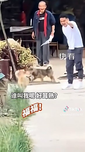 小狗一個月不見主人見面狂奔回來的感人瞬間