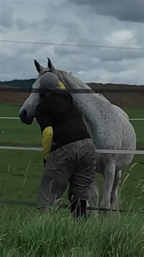 Human Cattle Prod
