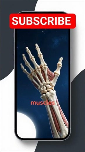 Your Body Wasn’t Designed for Zero Gravity | Astronauts Warn About Space Effects