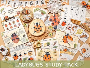Ladybug Unit Study Homeschool Spring Printables Charlotte Mason Preschool Nature Study Anatomy of a Ladybug Life Cycle Ladybird Study Pack - Etsy