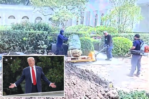 Trump blasts ‘stupid’ contractor who damaged White House custom Rose Garden limestone