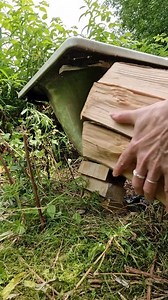 8.2K views · 379 reactions | SEE CAPTION FOR DETAILS ⬇️⬇️⬇️ Our 2nd...