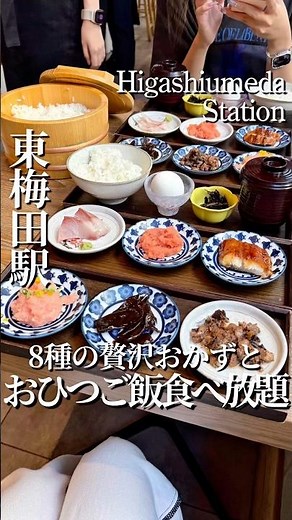 東梅田📍8種の贅沢おかずとおひつご飯食べ放題🍚