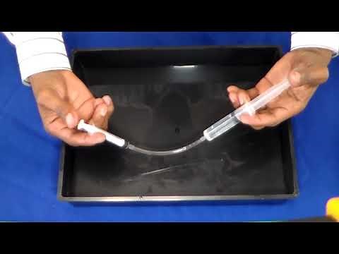 Grade 7 TECH, PAT, Term 1 Task 2 and 4, Pneumatic, Hydraulic system Technology