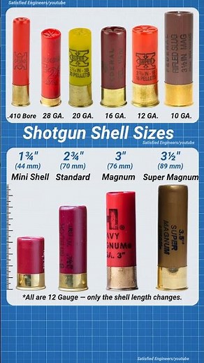 Every Shotgun Shell Size Explained | 10 Gauge to .410 Bore | Mini to Super Magnum