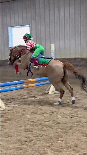 Bouncing into the new week like Emm and Cherry. 🍒 Have a great one. #horse #equestrian #cherry