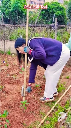 Fast Bamboo Pole Removal Tool Demo#farming #easyfarming
