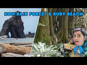 Natural Wonders at HOH RAIN FOREST and RUBY BEACH ~ Olympic National Park ~ WASHINGTON