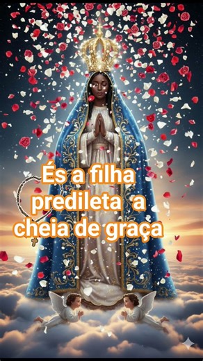 coroa das glória da virgem Maria #maria #angel #amor #devotional