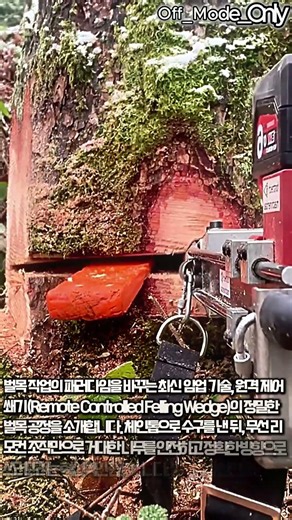 원격 제어 쐐기를 활용한 최첨단 정밀 벌목 기술