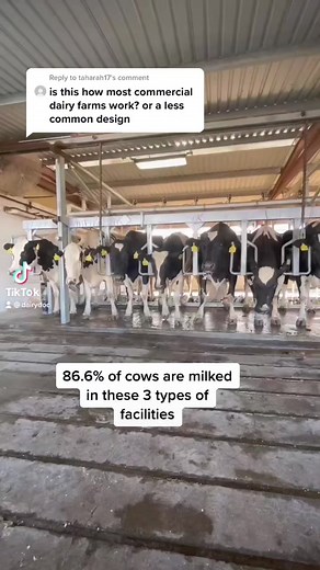 Common Types of Milking Parlors on US Dairy Farms