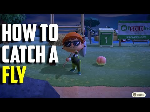 How to Catch a Fly | Fly ACNH | Animal Crossing New Horizons Fly | ACNH Fly | AC Fly | Fly AC