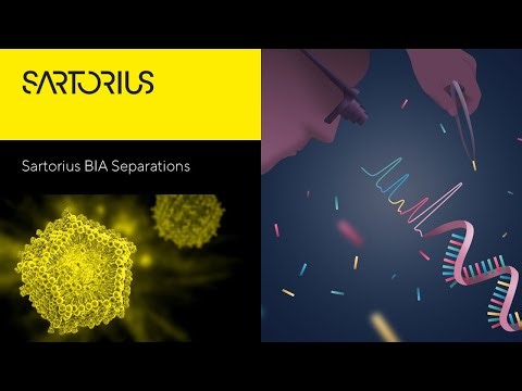 Scalable Strategies for pDNA, mRNA, and LNP Purification Supported by Rapid At-Line Analytics
