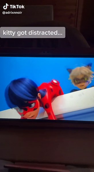 Miraculous Ladybug and Cat Noir Funny Moment: Kitty Got Distracted