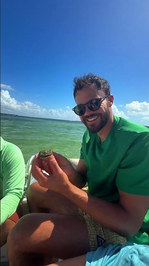 Wild About Florida: Snorkeling at Shell Island