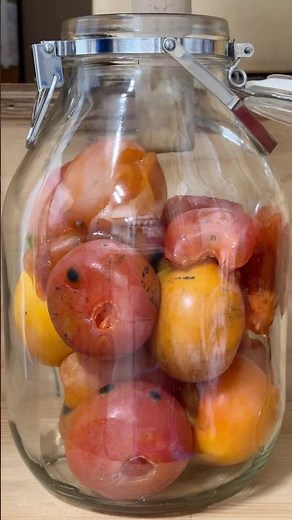 柿酢を作ってみよう #手仕事 #homemade #persimmon