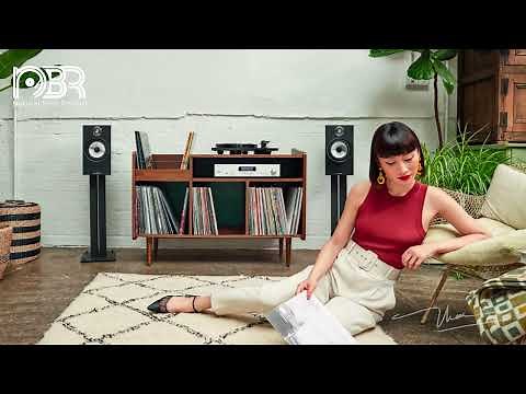 Hi Fi Audio System Demo - Audiophile Music Collection 2022 - Natural Beat Records