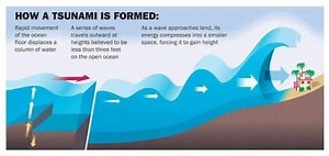 Tsunami and its causes & Tsunami Warning Systems | UPSC - UPSC Notes » LotusArise