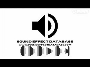 Propeller Plane Start And Idle Sound Effect